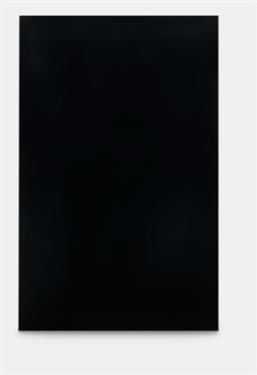 Dometic 3106863305C - Door Panels Black